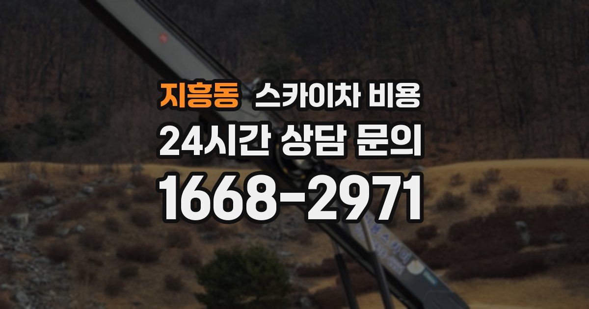 지흥동 스카이차 비용