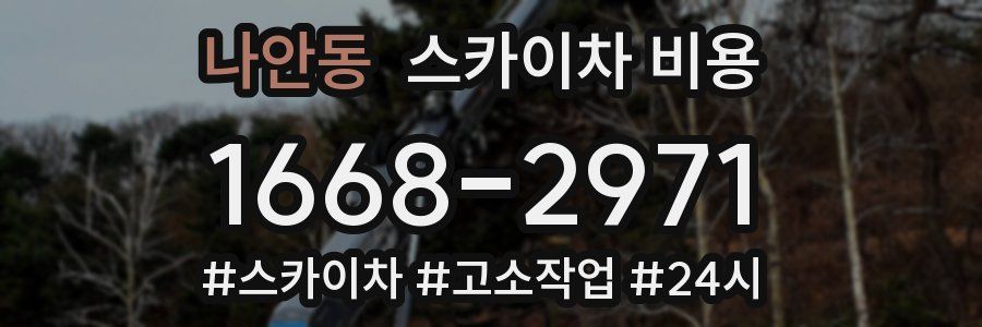 나안동 스카이차 비용