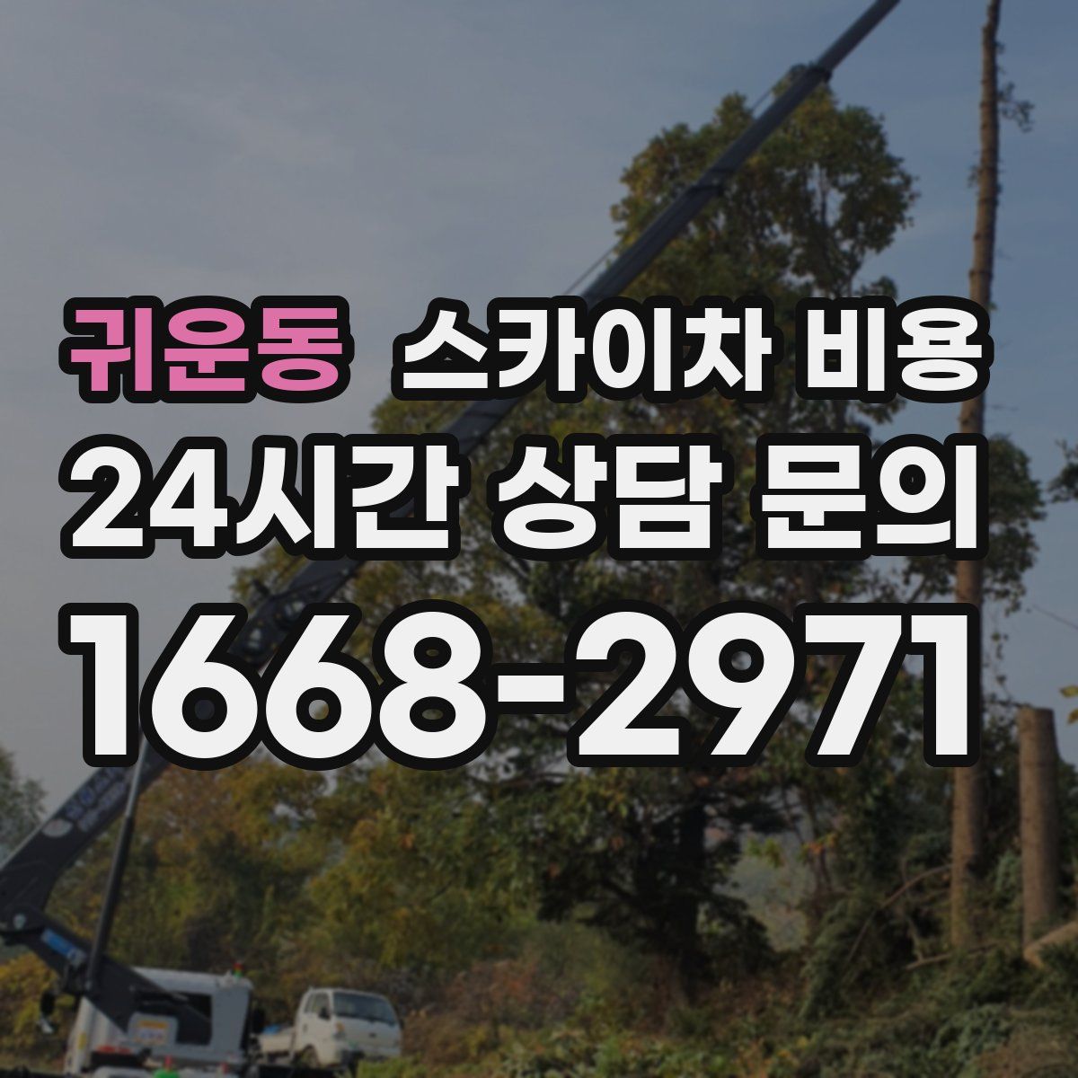 귀운동 스카이차 비용