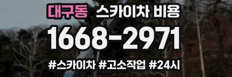 대구동 스카이차 비용