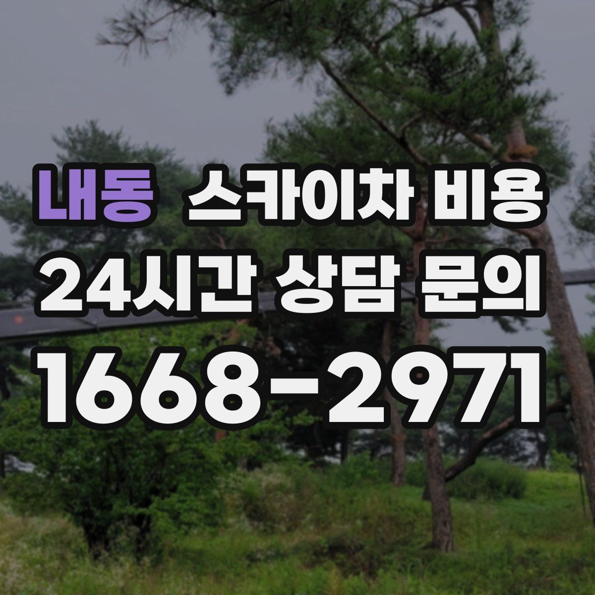 내동 스카이차 비용