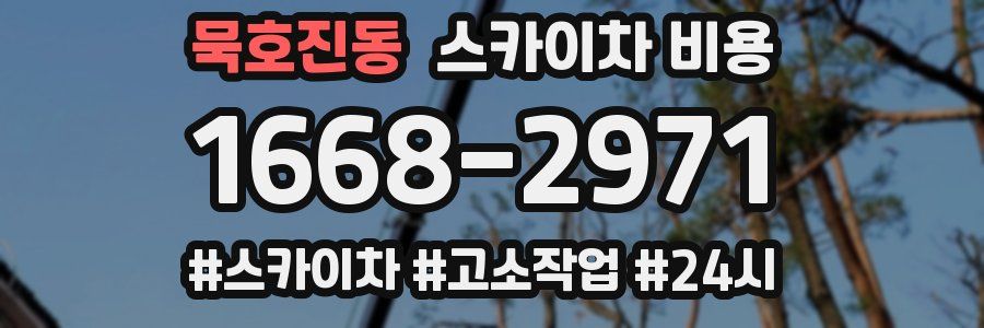 묵호진동 스카이차 비용