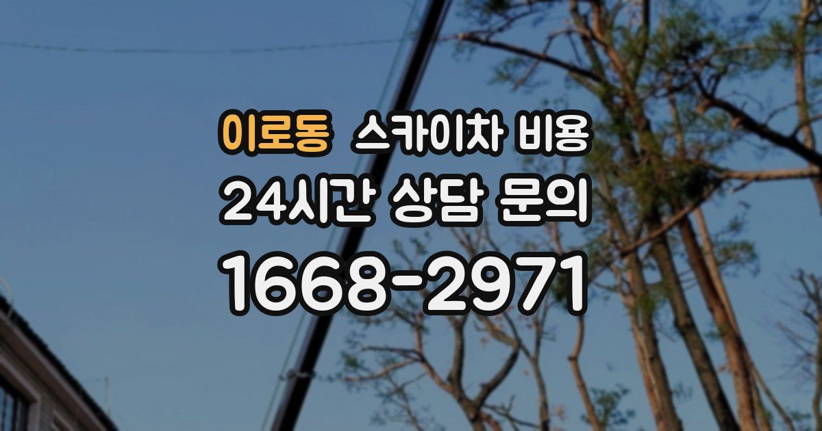 이로동 스카이차 비용