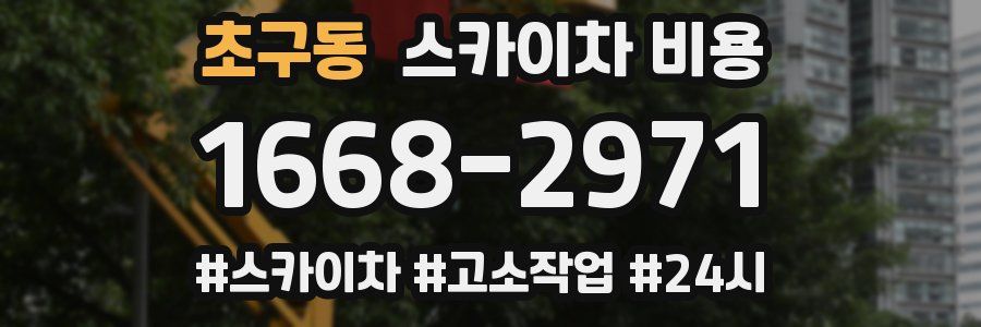 초구동 스카이차 비용