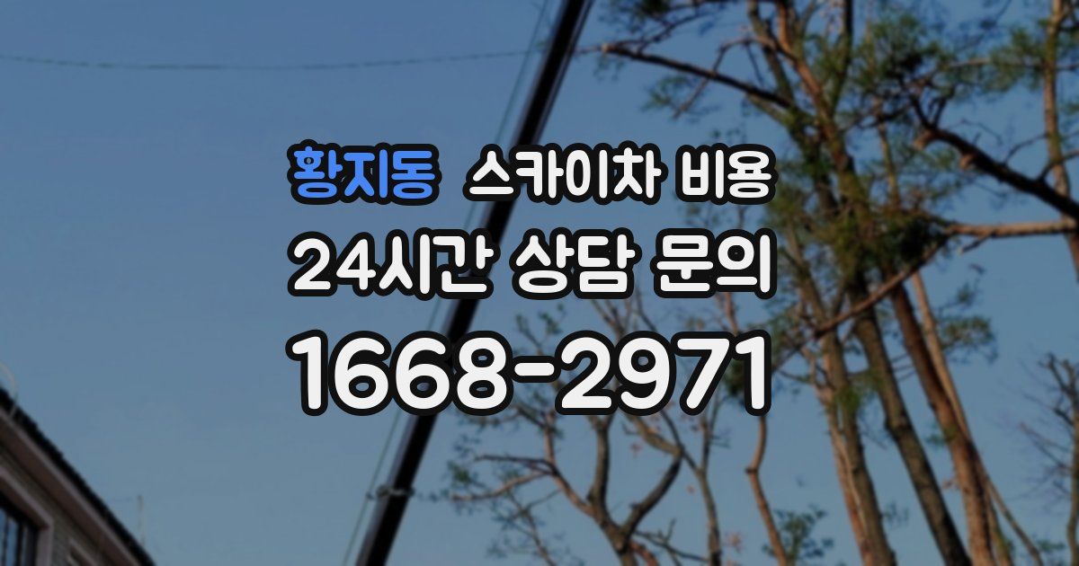 황지동 스카이차 비용