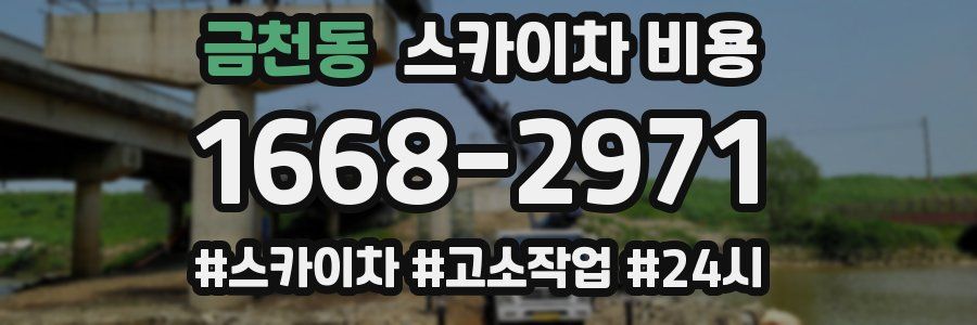 금천동 스카이차 비용