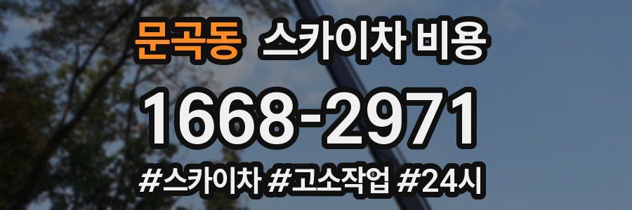 문곡동 스카이차 비용