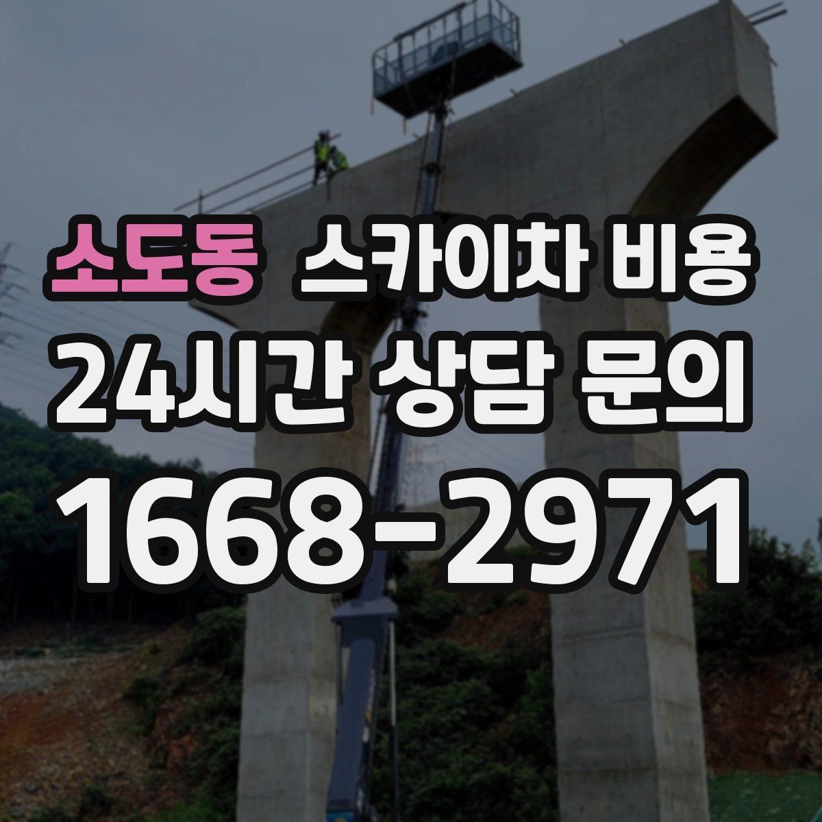 소도동 스카이차 비용 수목 전정 작업에서 확인할 항목