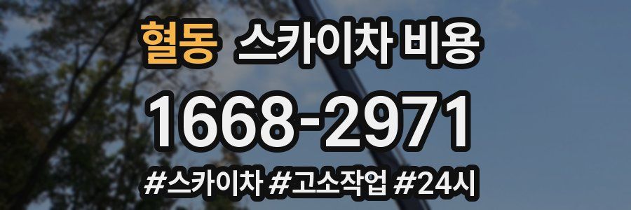 혈동 스카이차 비용