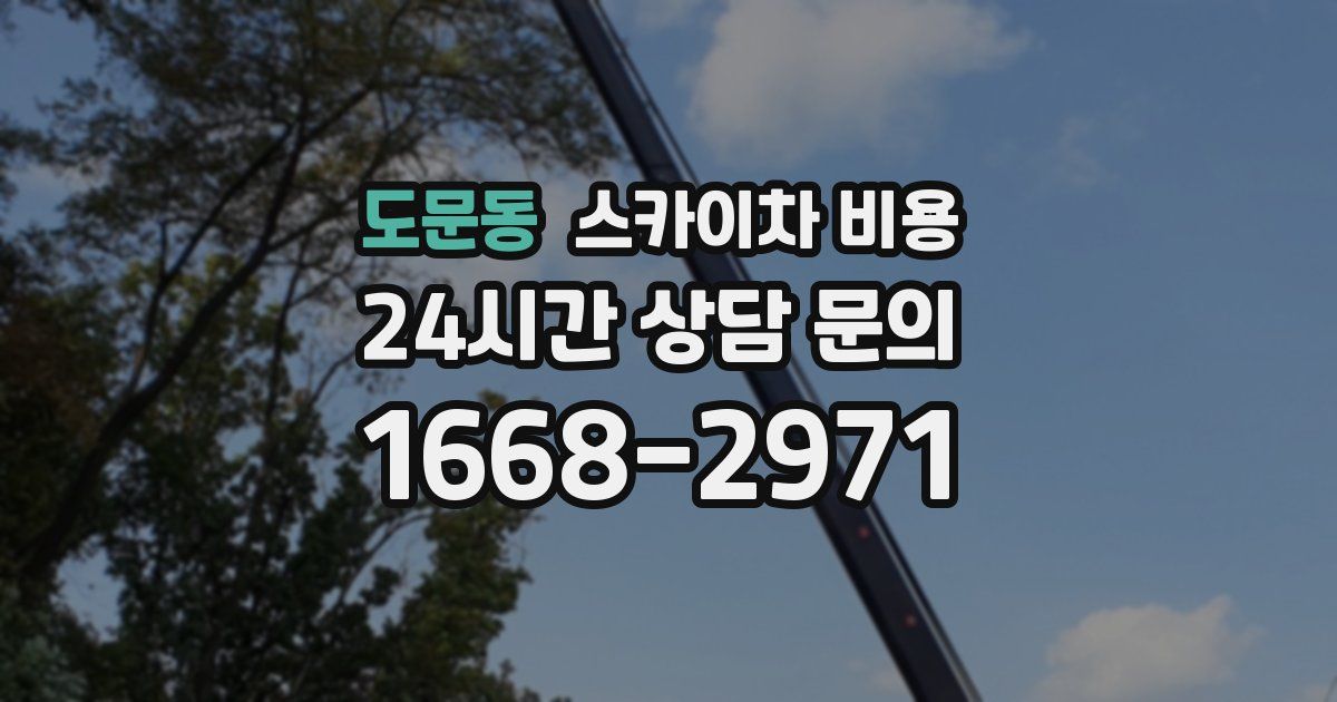 도문동 스카이차 비용