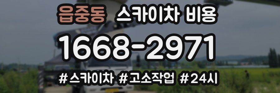 읍중동 스카이차 비용