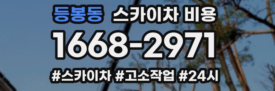 등봉동 스카이차 비용