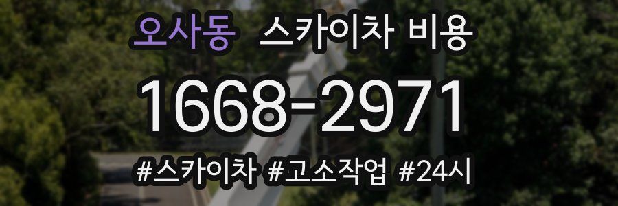 오사동 스카이차 비용