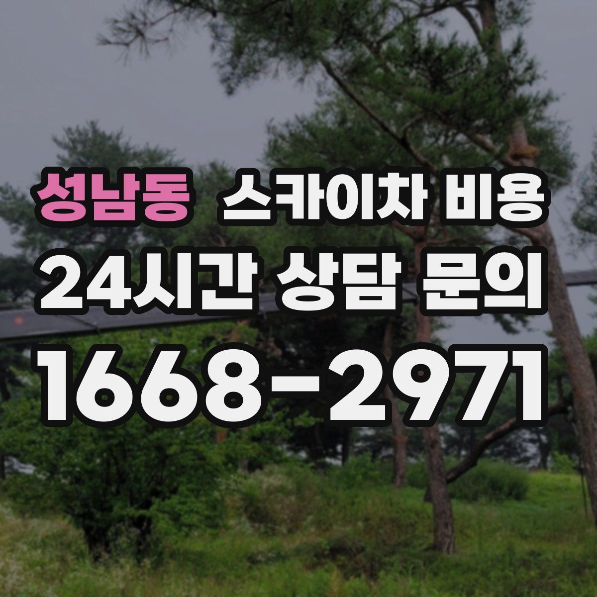 성남동 스카이차 비용