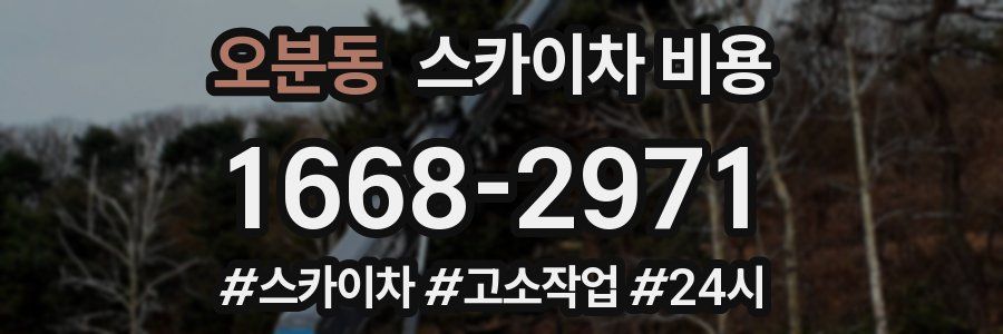 오분동 스카이차 비용