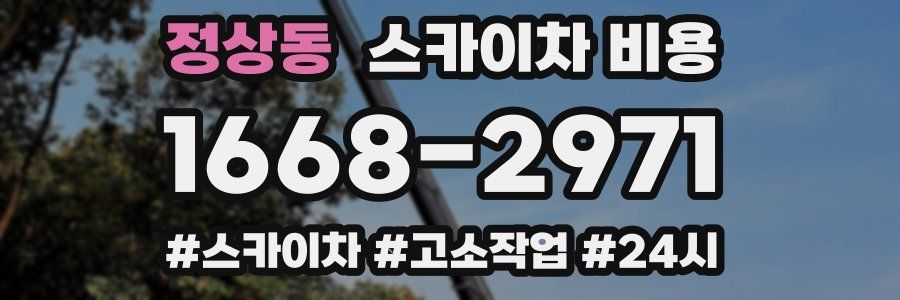 정상동 스카이차 비용