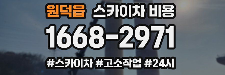 원덕읍 스카이차 비용