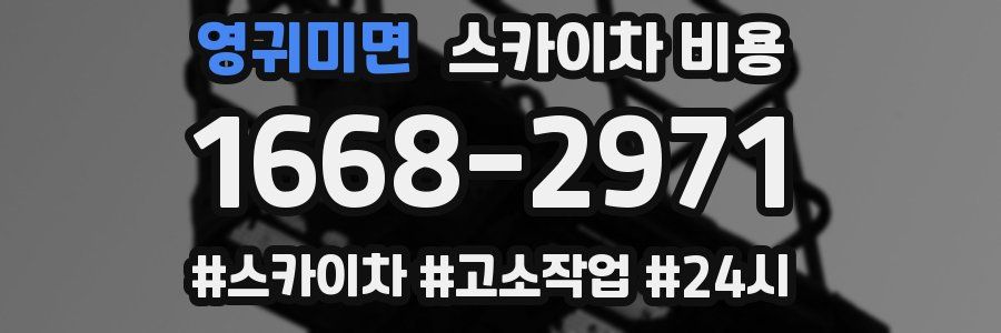 영귀미면 스카이차 비용