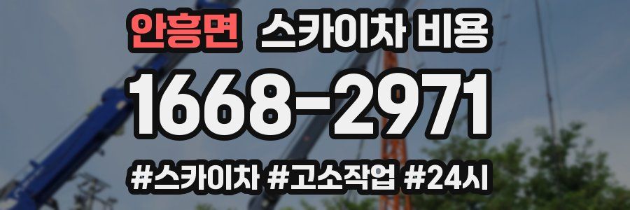 안흥면 스카이차 비용