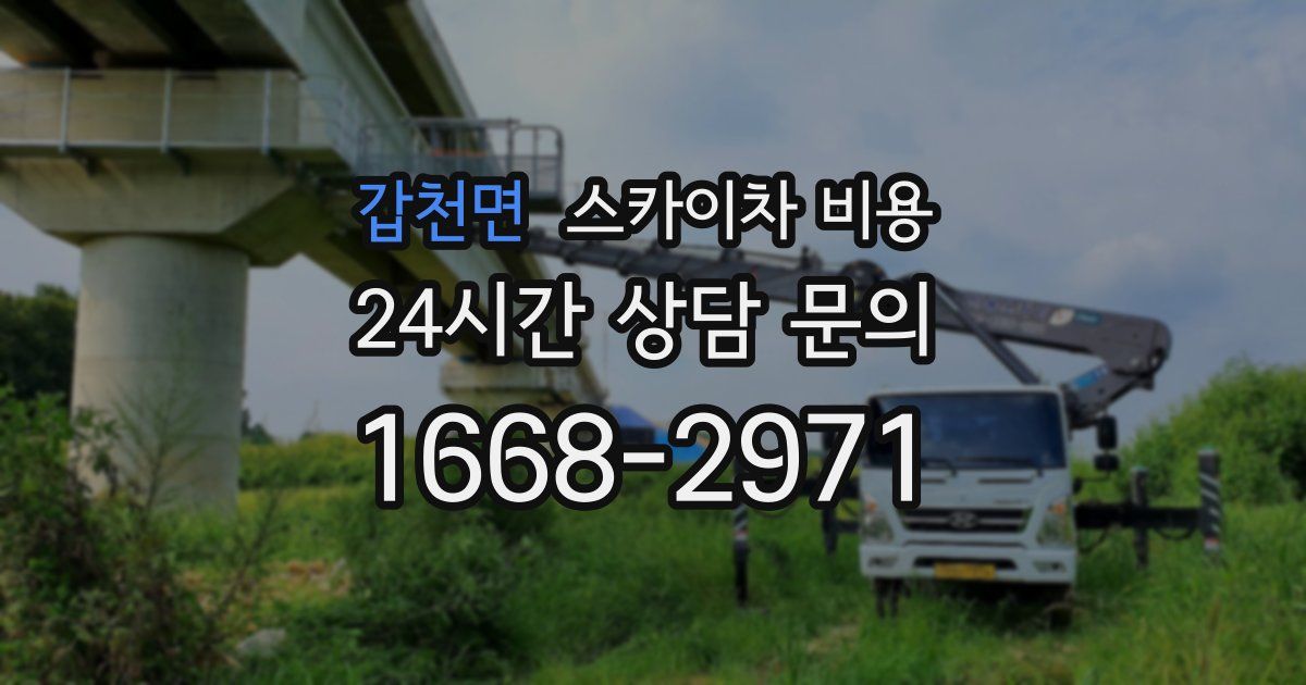 갑천면 스카이차 비용