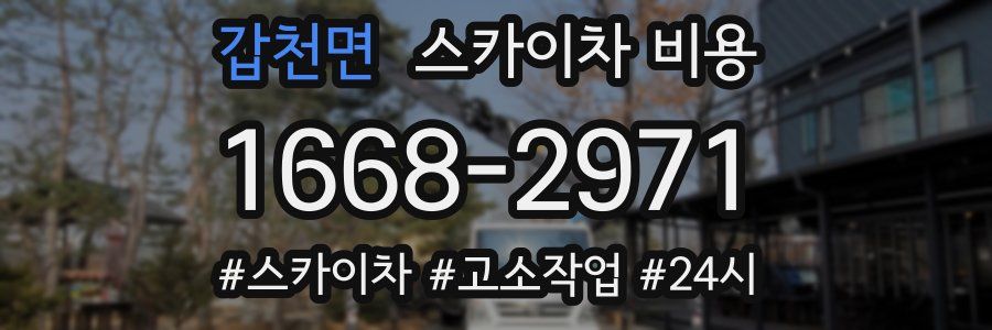 갑천면 스카이차 비용