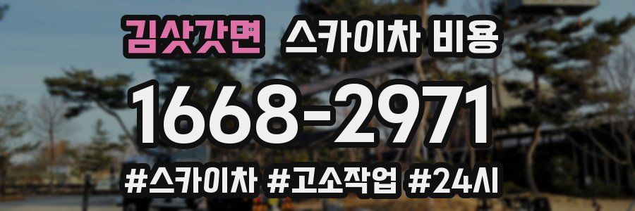 김삿갓면 스카이차 비용