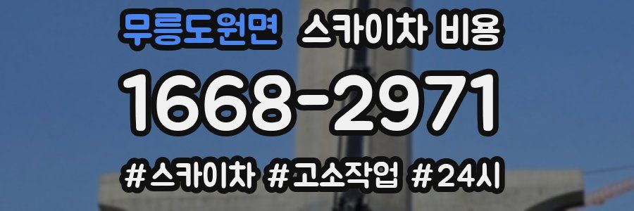 무릉도원면 스카이차 비용