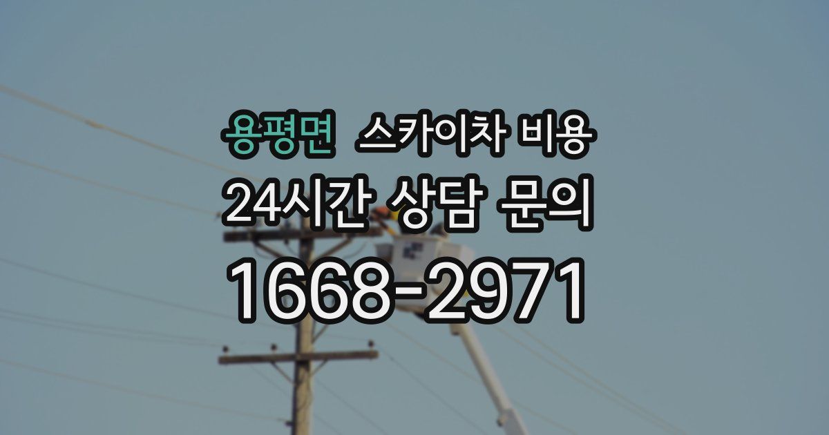 용평면 스카이차 비용