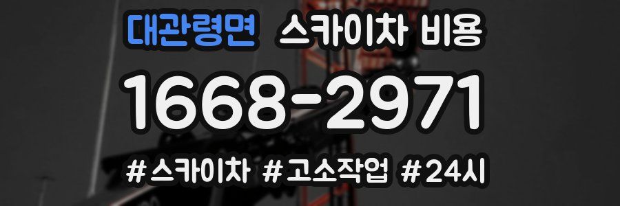 대관령면 스카이차 비용