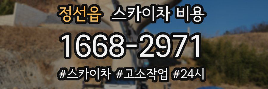 정선읍 스카이차 비용