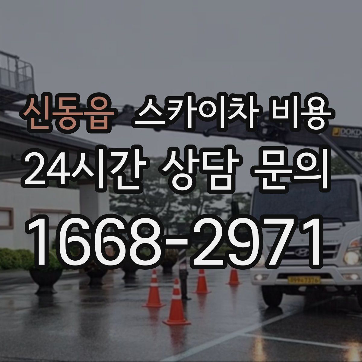 신동읍 스카이차 비용