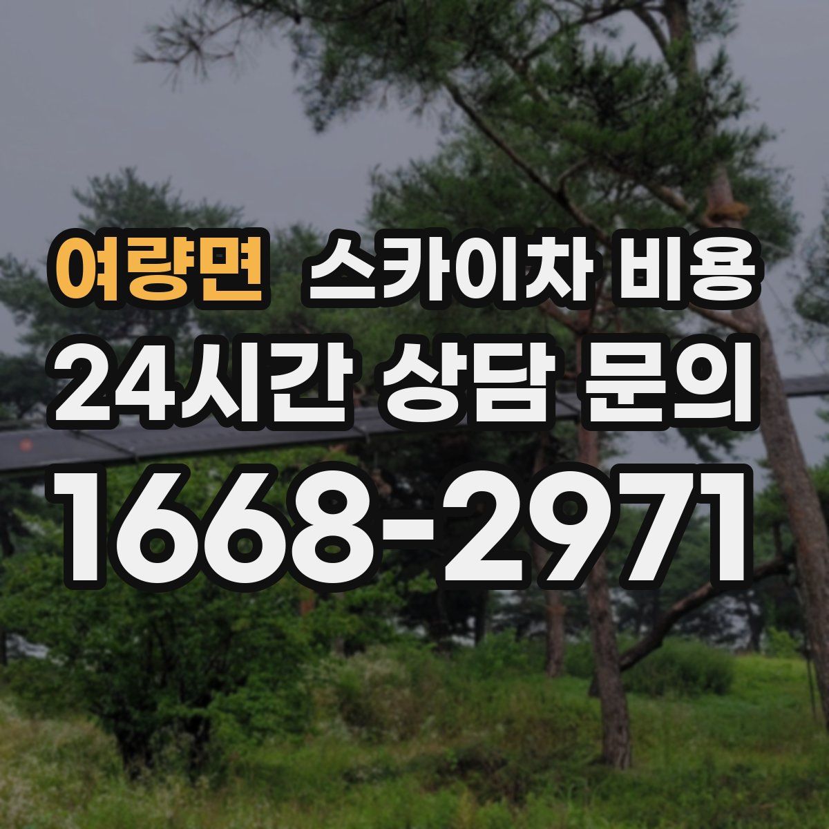 여량면 스카이차 비용