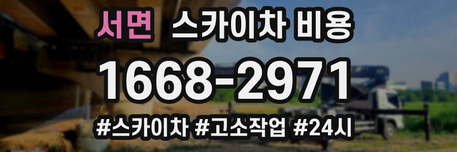 서면 스카이차 비용