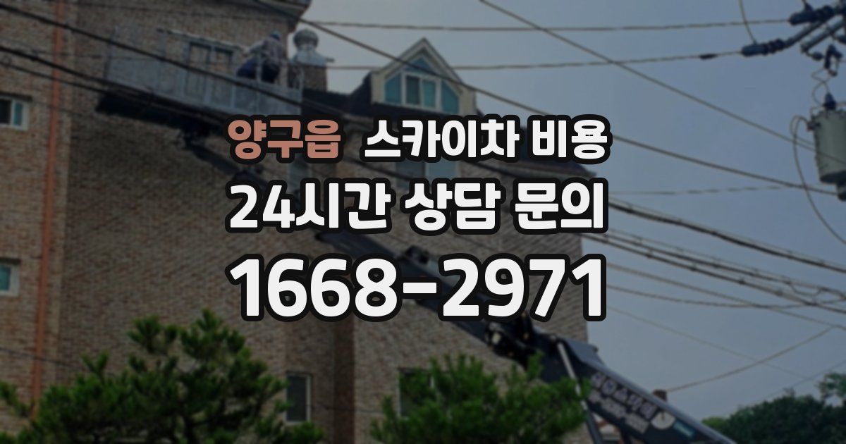 양구읍 스카이차 비용