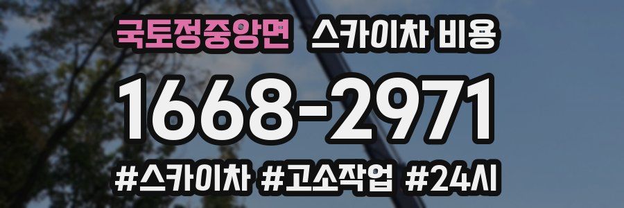 국토정중앙면 스카이차 비용