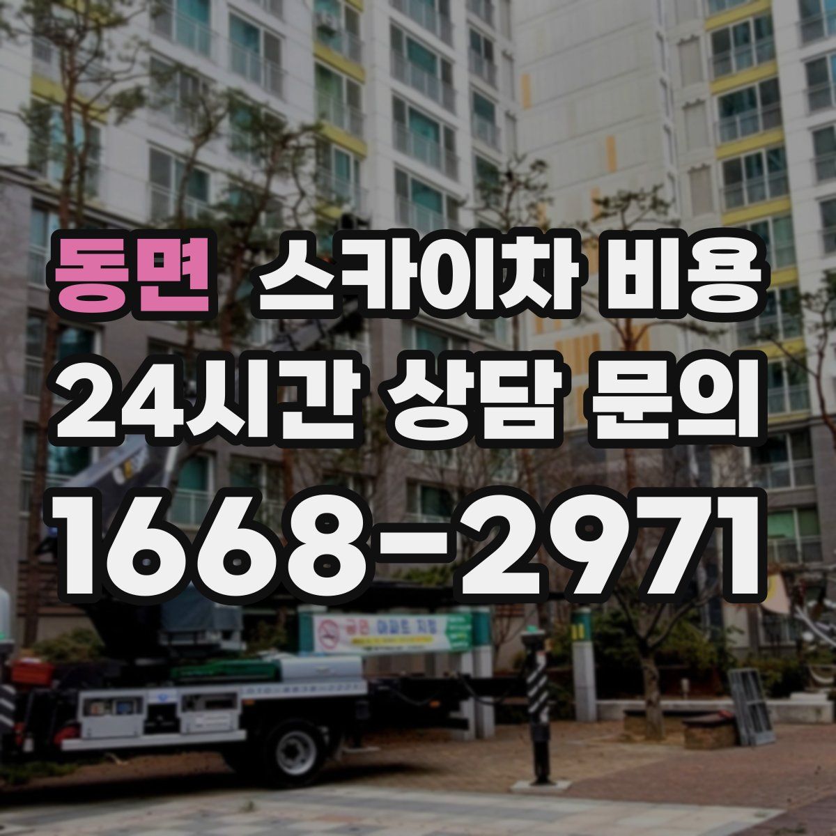 동면 스카이차 비용