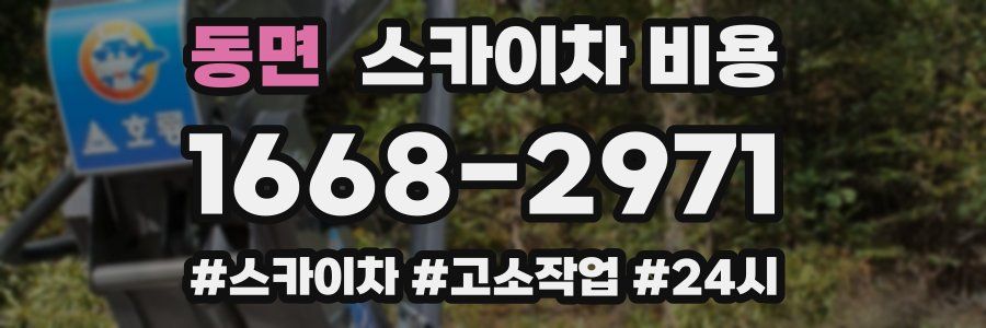 동면 스카이차 비용