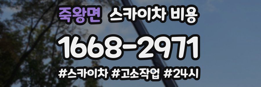 죽왕면 스카이차 비용