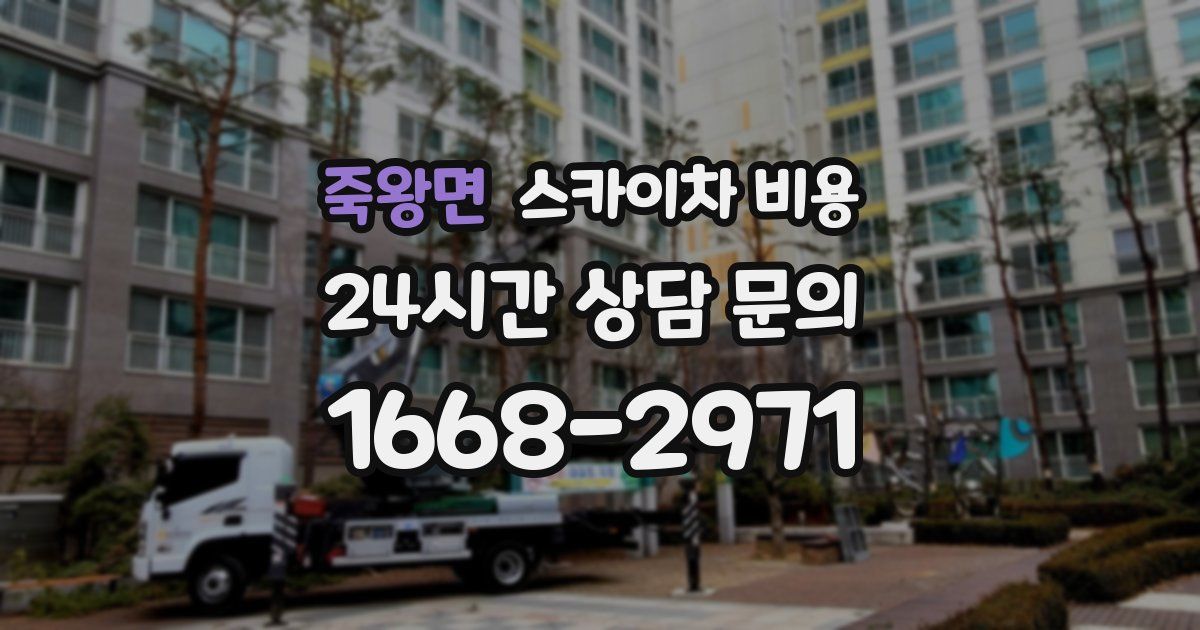 죽왕면 스카이차 비용