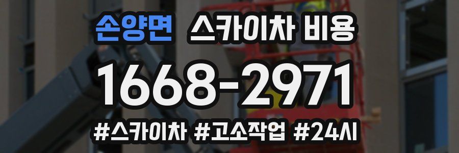 손양면 스카이차 비용