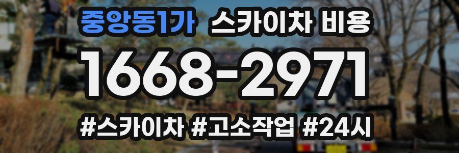 중앙동1가 스카이차 비용
