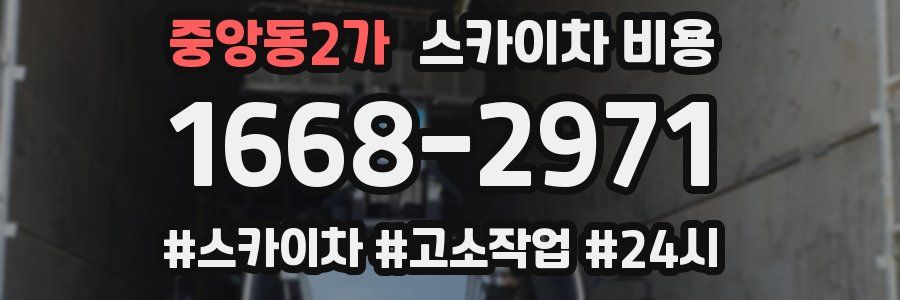 중앙동2가 스카이차 비용