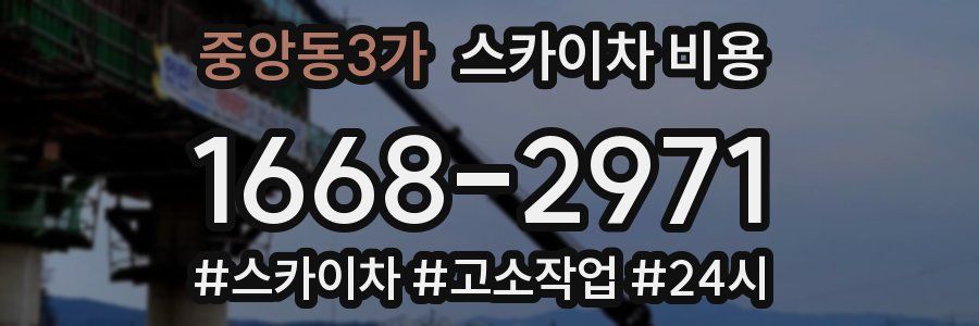 중앙동3가 스카이차 비용