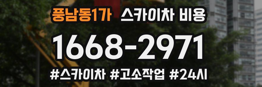 풍남동1가 스카이차 비용