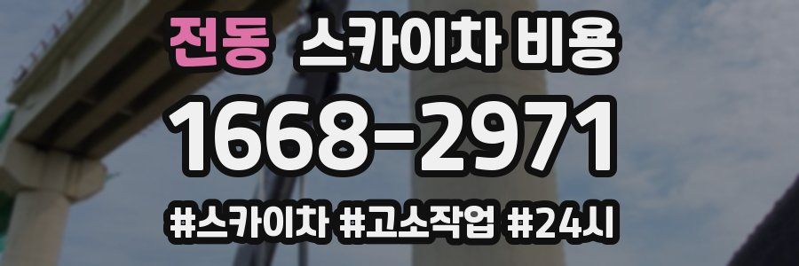 전동 스카이차 비용