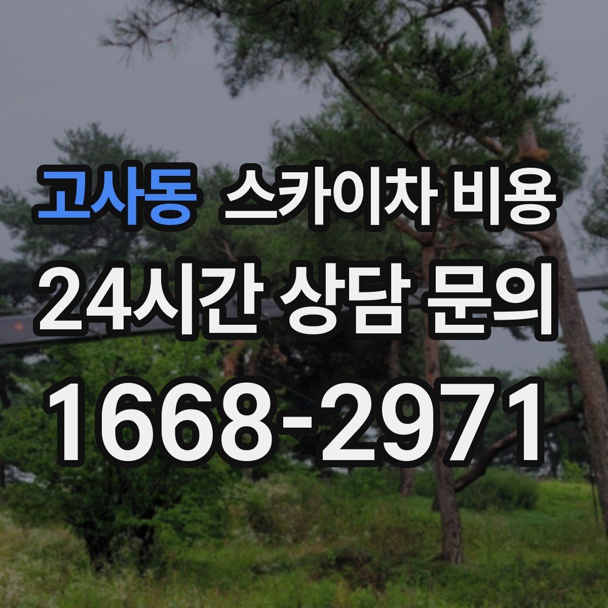 고사동 스카이차 비용 우천·강풍 등 날씨가 영향을 주는 이유