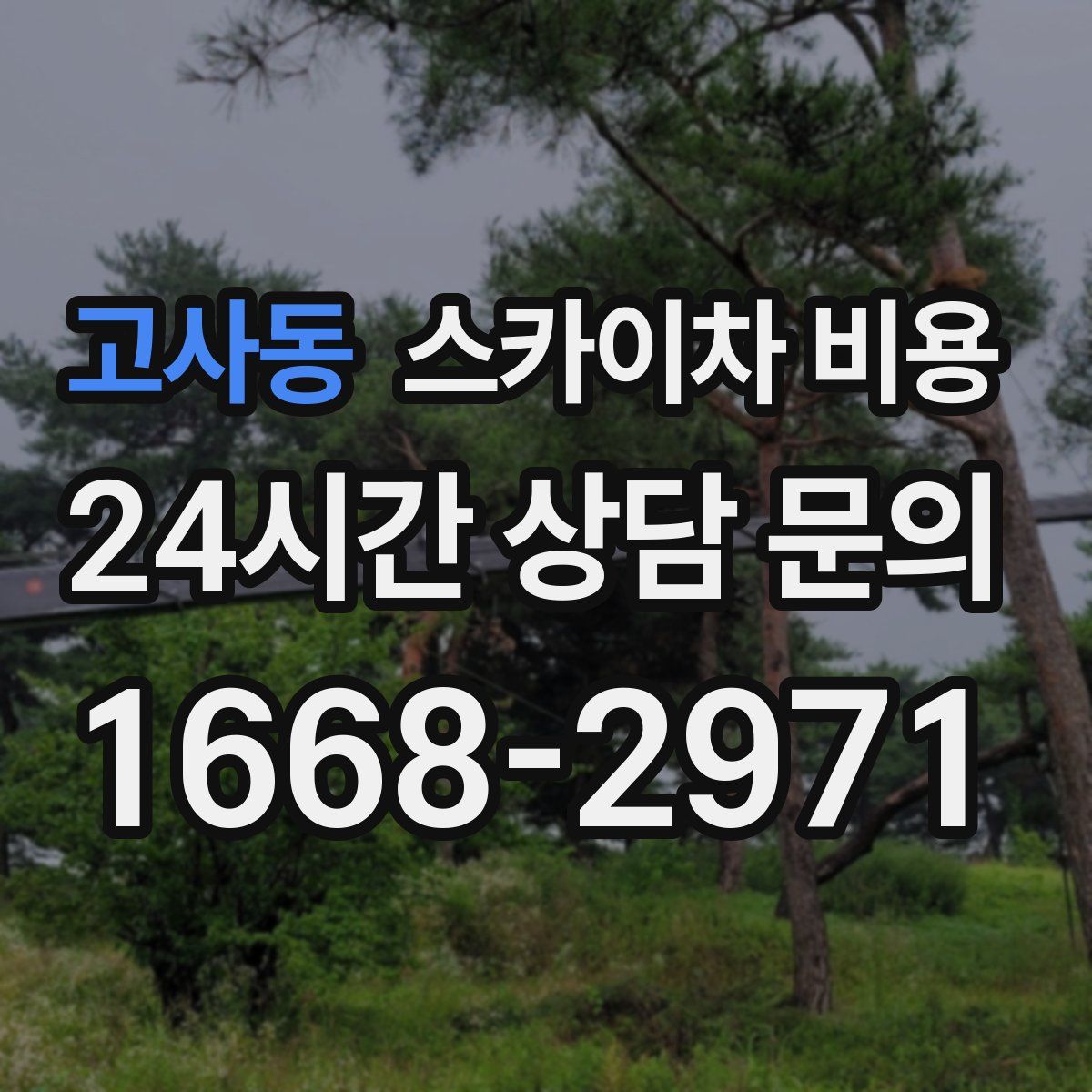 고사동 스카이차 비용