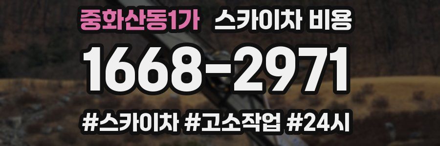 중화산동1가 스카이차 비용