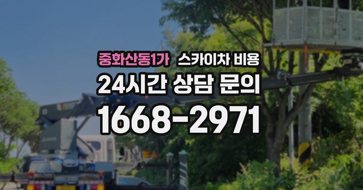 중화산동1가 스카이차 비용