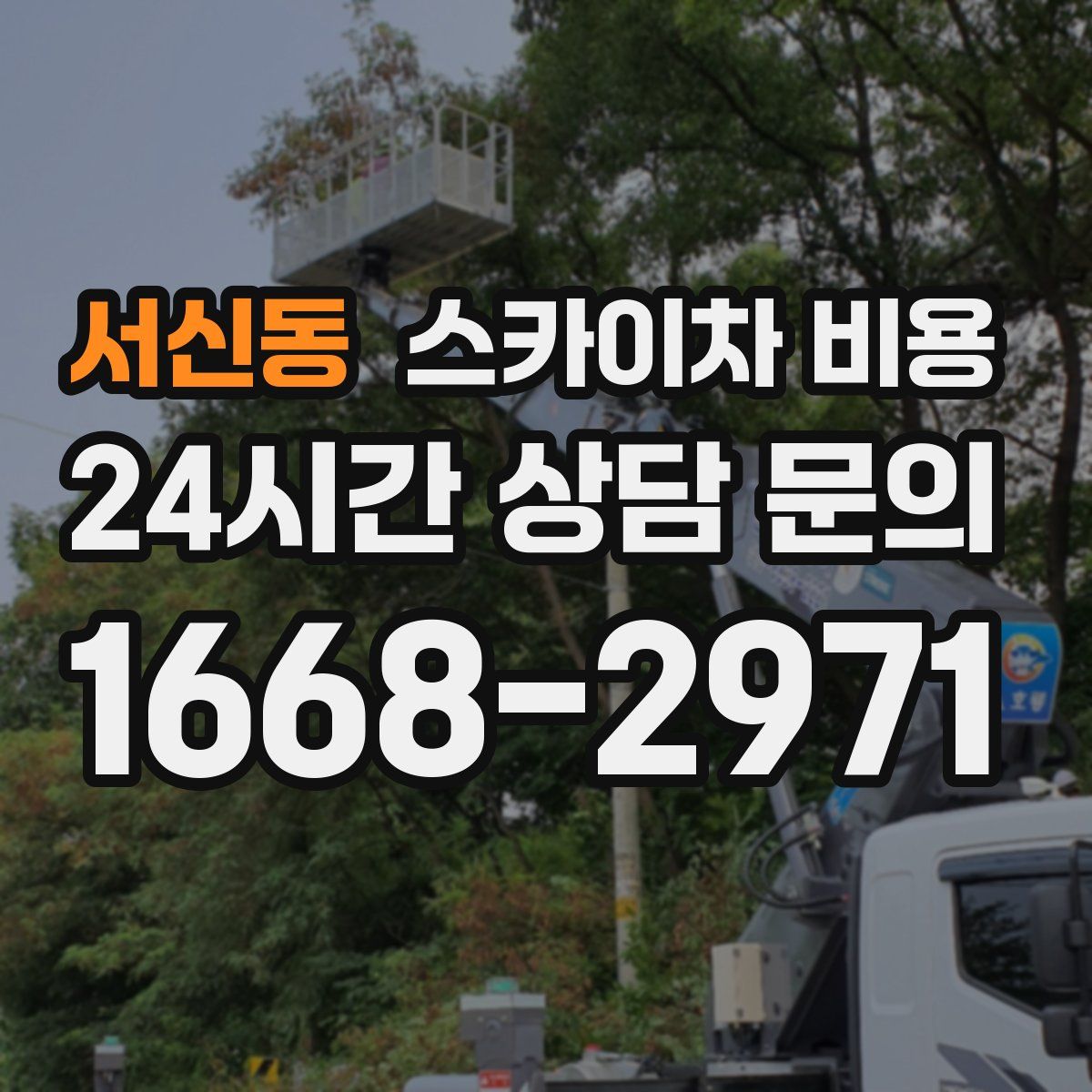 서신동 스카이차 비용